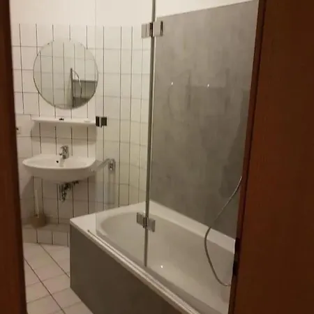 Große Ferienwohnung In Dresden-löbtau Apartment *